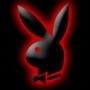 PaulPfeifers Avatar